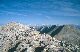 bg1_159.jpg   [30 kB]